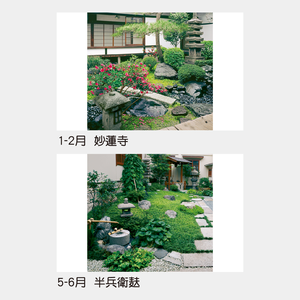 TD-511 【フィルム】坪庭