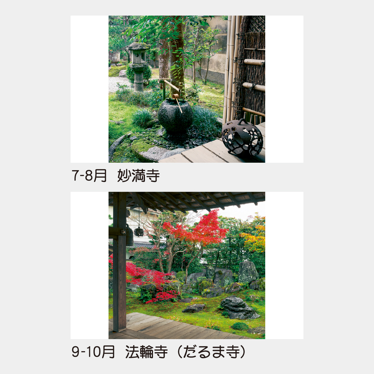 TD-511 【フィルム】坪庭