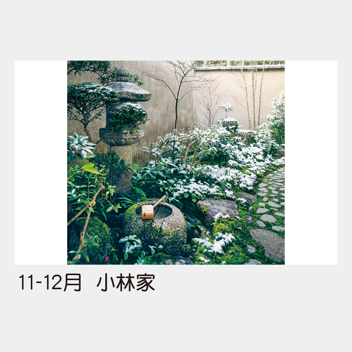 TD-511 【フィルム】坪庭