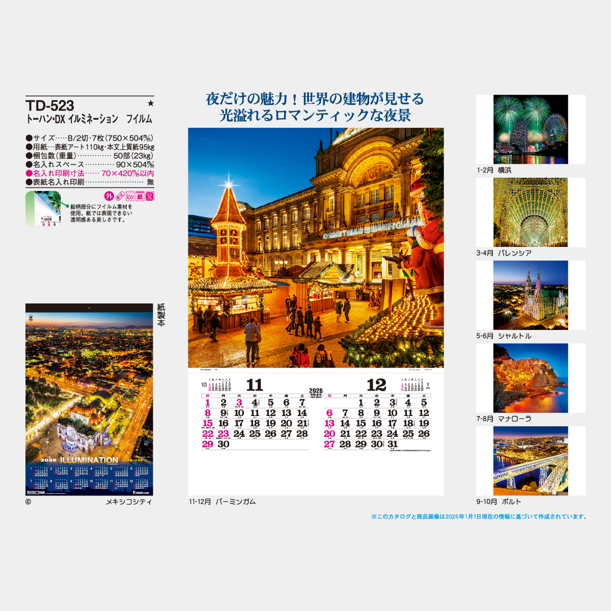 TD-523 【フィルム】イルミネーション