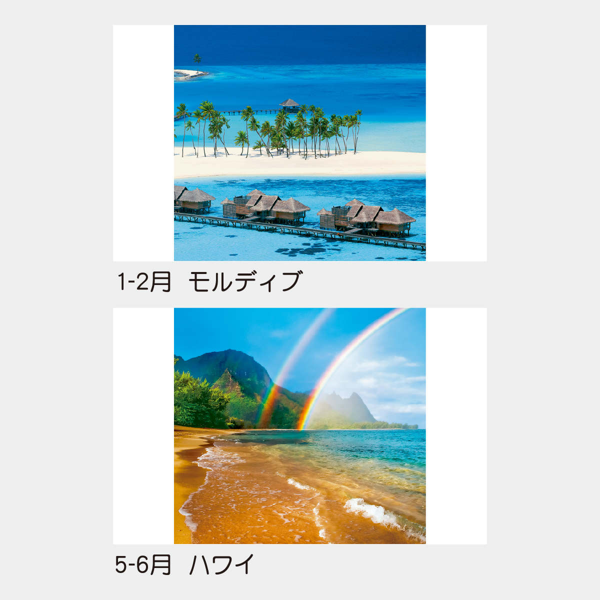 TD-527 【フィルム】マリンブルー