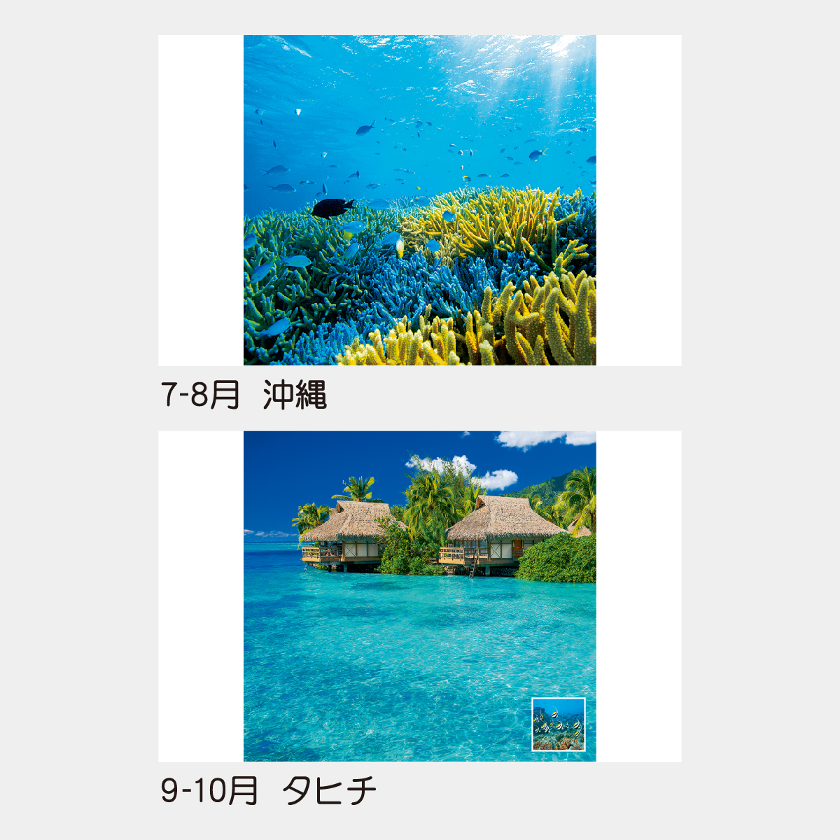 TD-527 【フィルム】マリンブルー