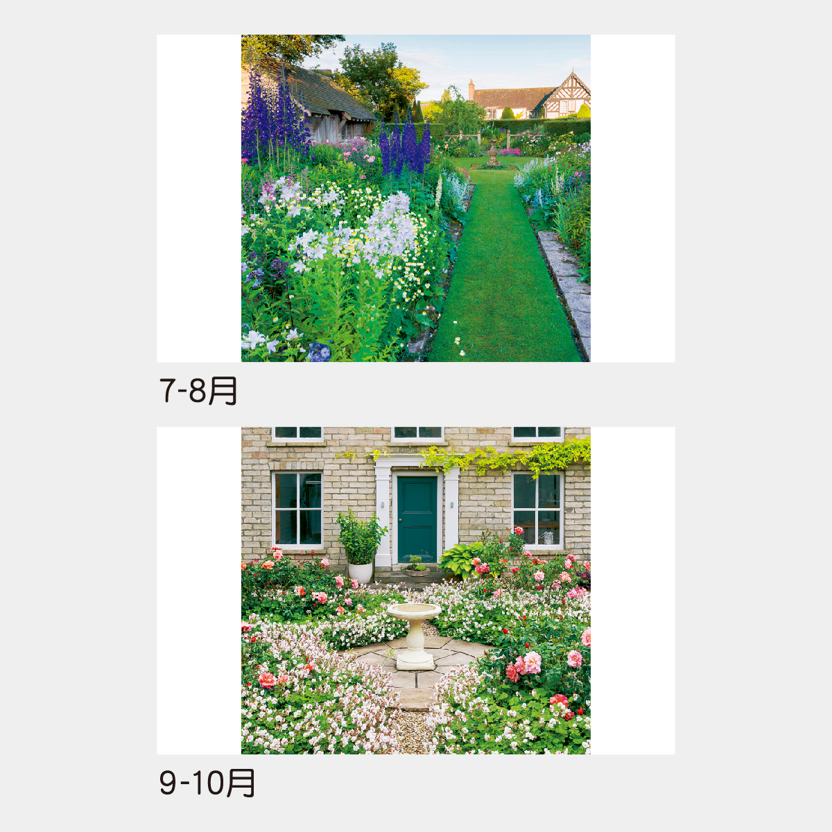 TD-535 【フィルム】イングリッシュ･ガーデン