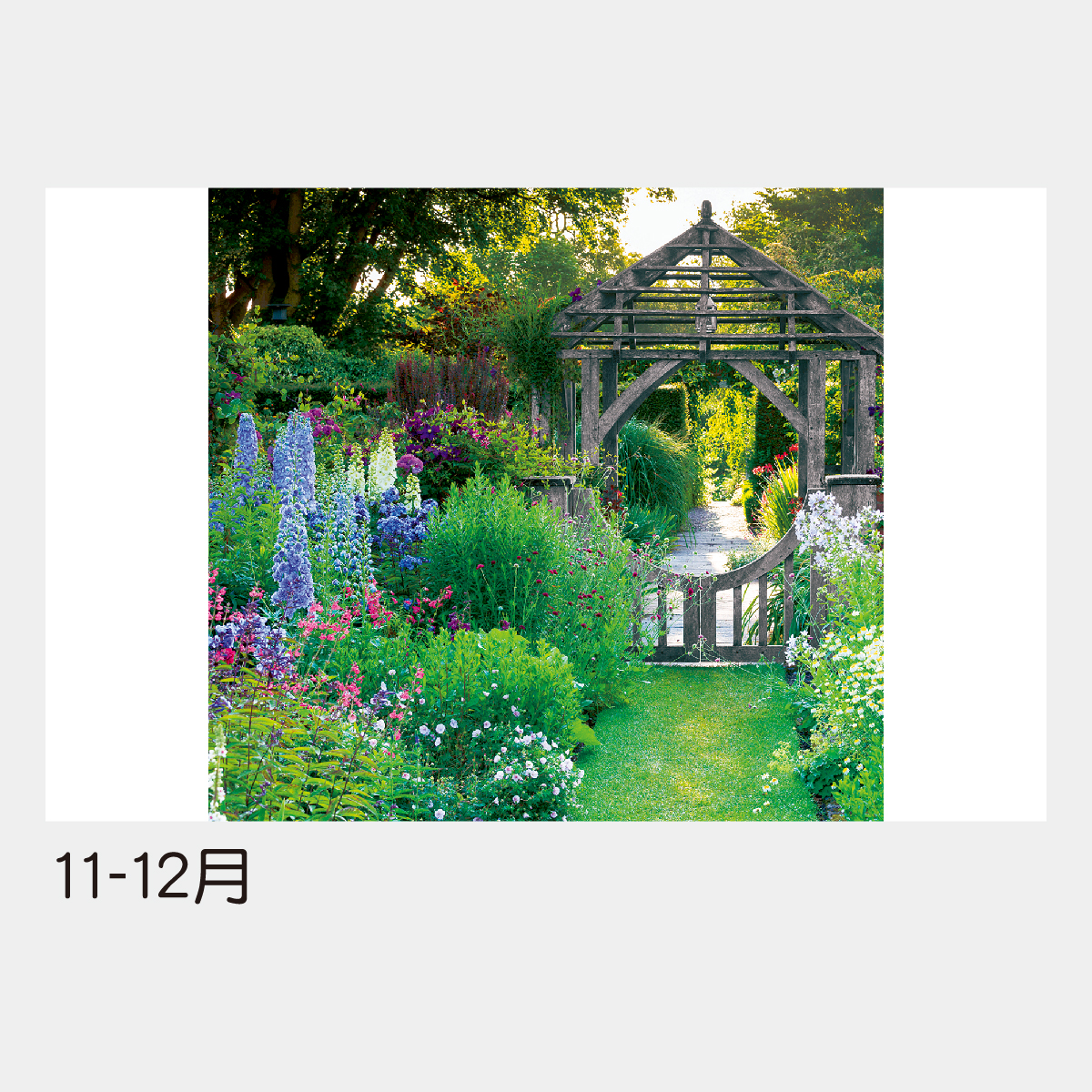 TD-535 【フィルム】イングリッシュ･ガーデン