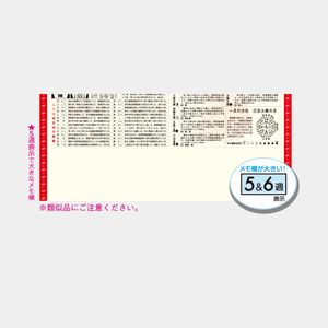 TD-613 開運ジャンボ(年間開運暦付)