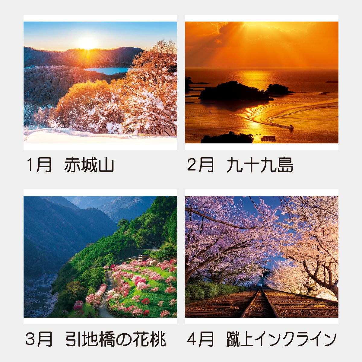 TD-631 インプレッション・オブ・ジャパン