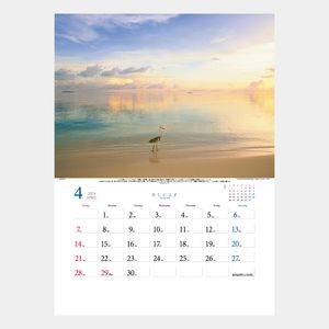 TD-653 癒しの楽園(三好和義作品集) 名入れカレンダー  