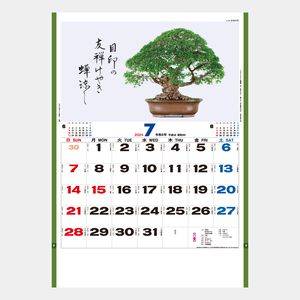 TD-665 盆栽逸品集 名入れカレンダー  