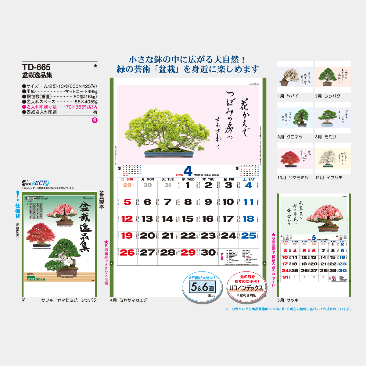 TD-665 盆栽逸品集