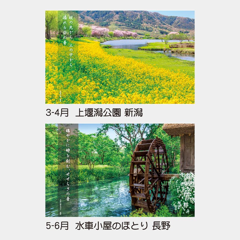 TD-705 音の風景