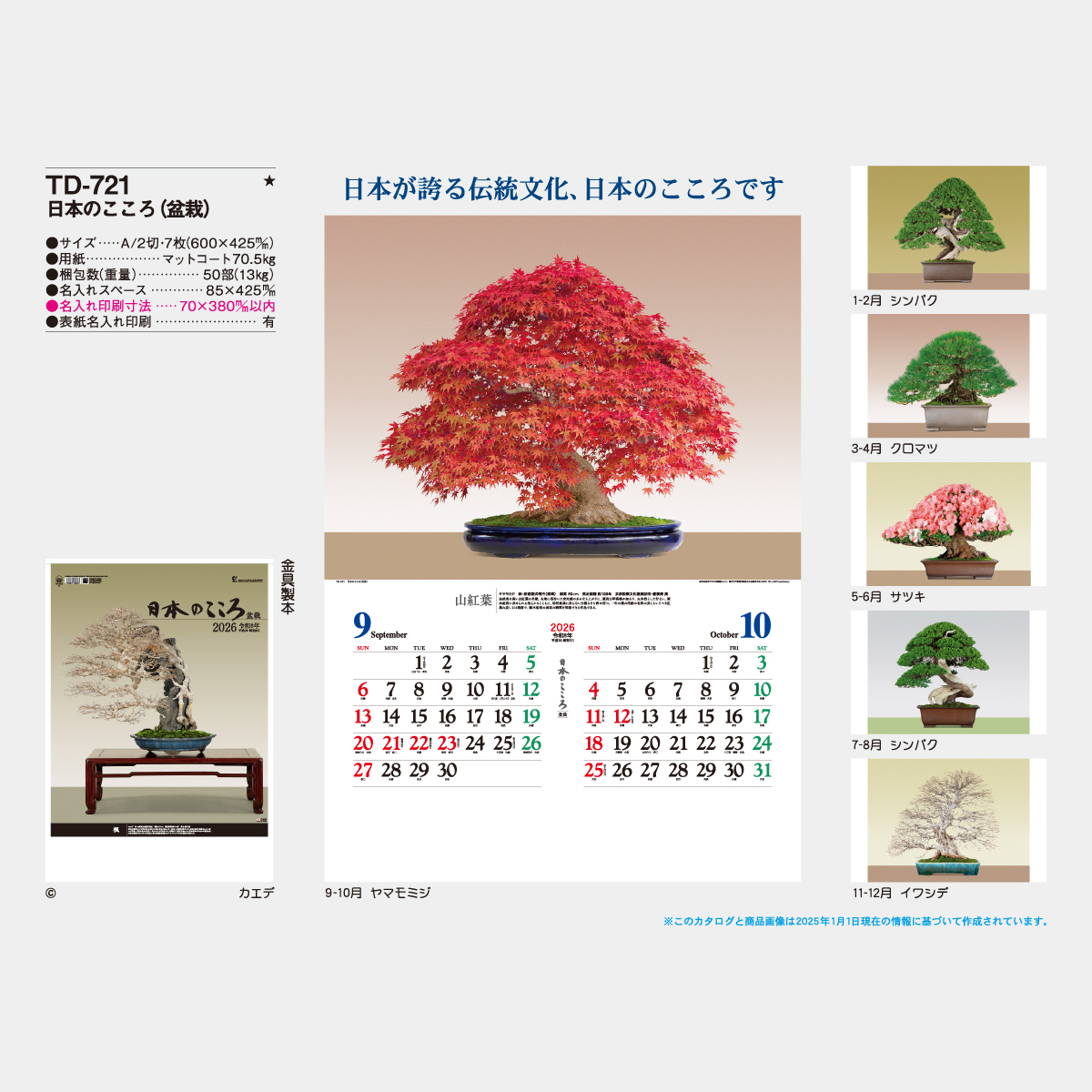 TD-721 日本のこころ(盆栽)