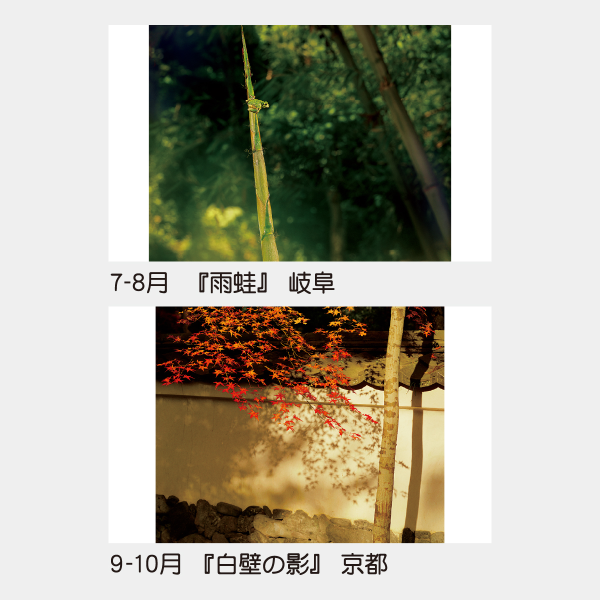 TD-736 巡りゆく風景~土門拳作品集~