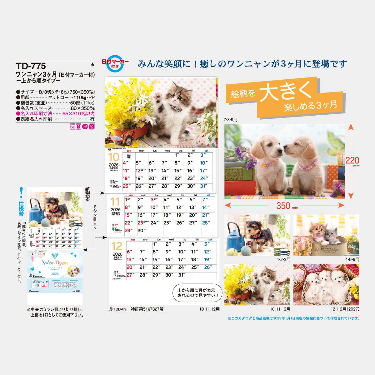 TD-775 ワンニャン3カ月-上から順タイプ-