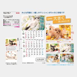 TD-775 ワンニャン3カ月-上から順タイプ-