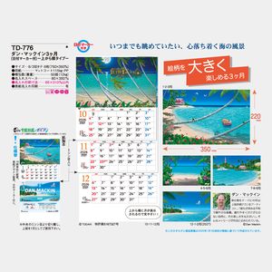 TD-776 ダン・マックイン3カ月-上から順タイプ-