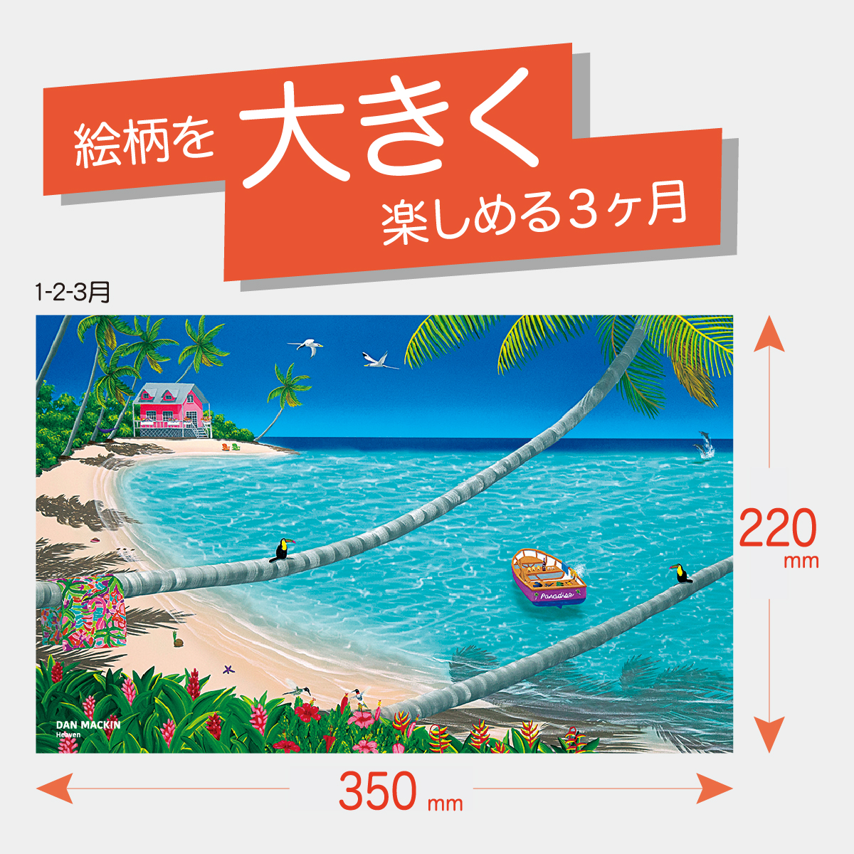 TD-776 ダン・マックイン3カ月-上から順タイプ-