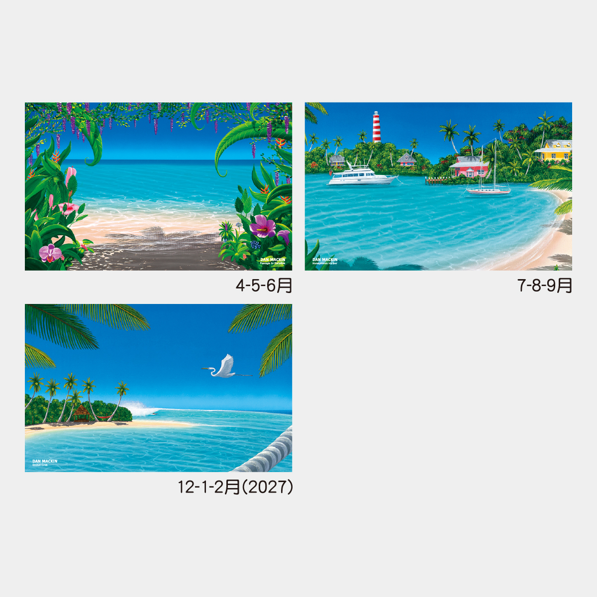 TD-776 ダン・マックイン3カ月-上から順タイプ-