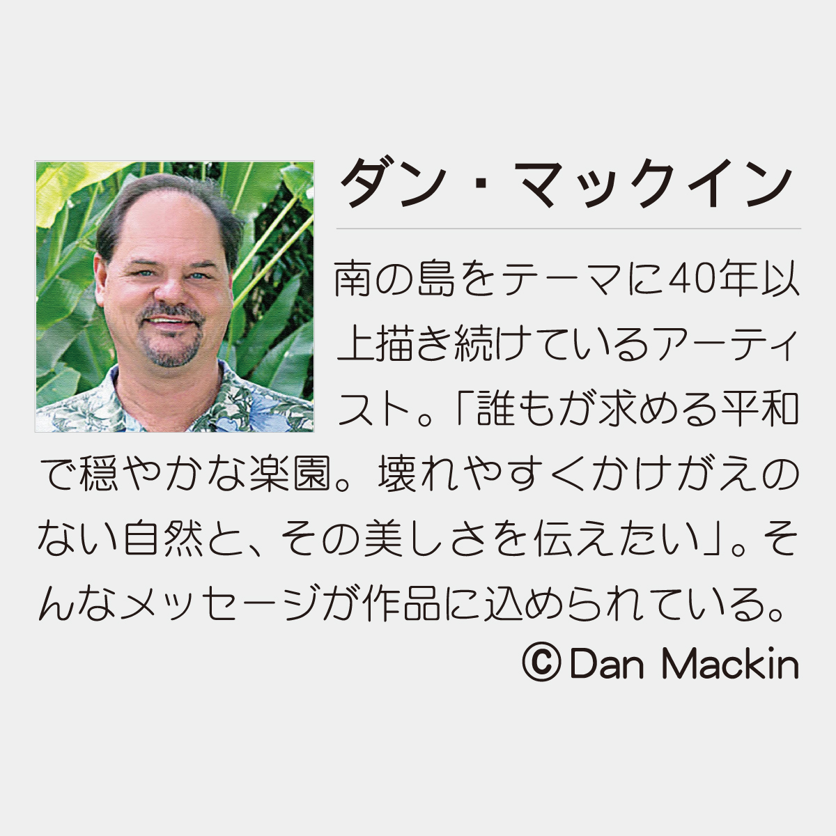 TD-776 ダン・マックイン3カ月-上から順タイプ-