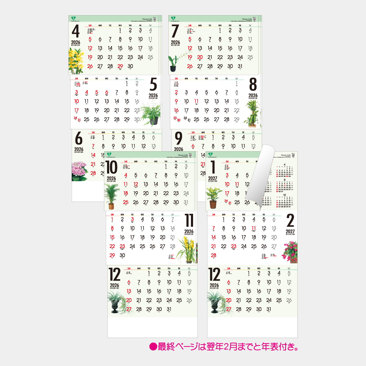 TD-783 緑のくらし3ヶ月(日付マーカー付)-上から順タイプ-
