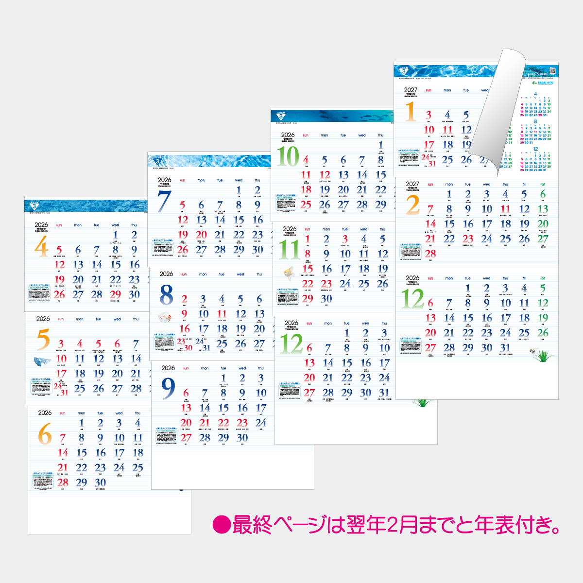 TD-788 アクア・ブルー3ヶ月eco(上から順タイプ)