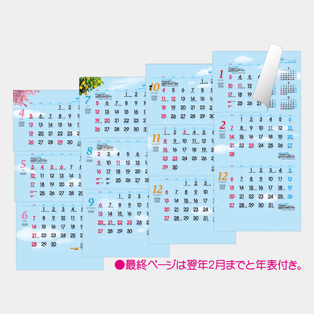 TD-789 空いろ3ヶ月eco･上から順タイプ