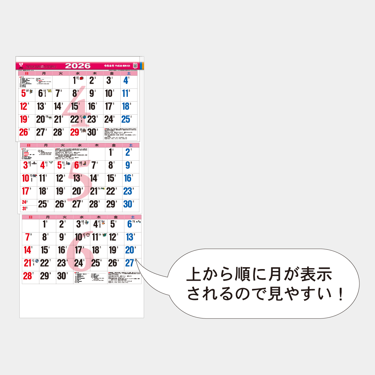 TD-796 カラー3ヶ月文字(14ヶ月)上から順タイプ