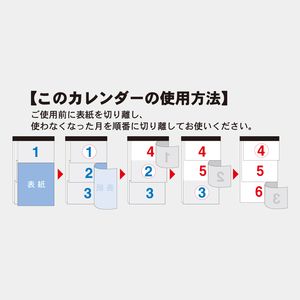 TD-796 カラー3ヶ月文字(14ヶ月)上から順タイプ