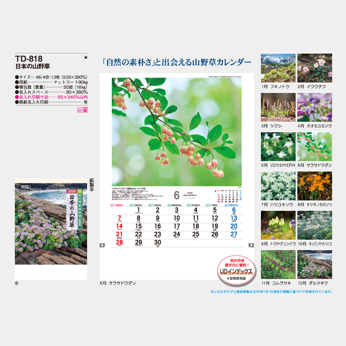 Td 818 日本の山野草 21年版名入れカレンダーを格安で販売 名入れカレンダー印刷 Com Td 818 日本の山野草 21年版名入れカレンダーを格安で販売 名入れカレンダー印刷 Com