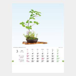 TD-819 野草盆栽 名入れカレンダー  