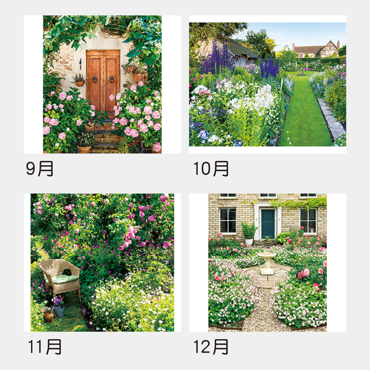 TD-825 イングリッシュ･ガーデン･コレクション