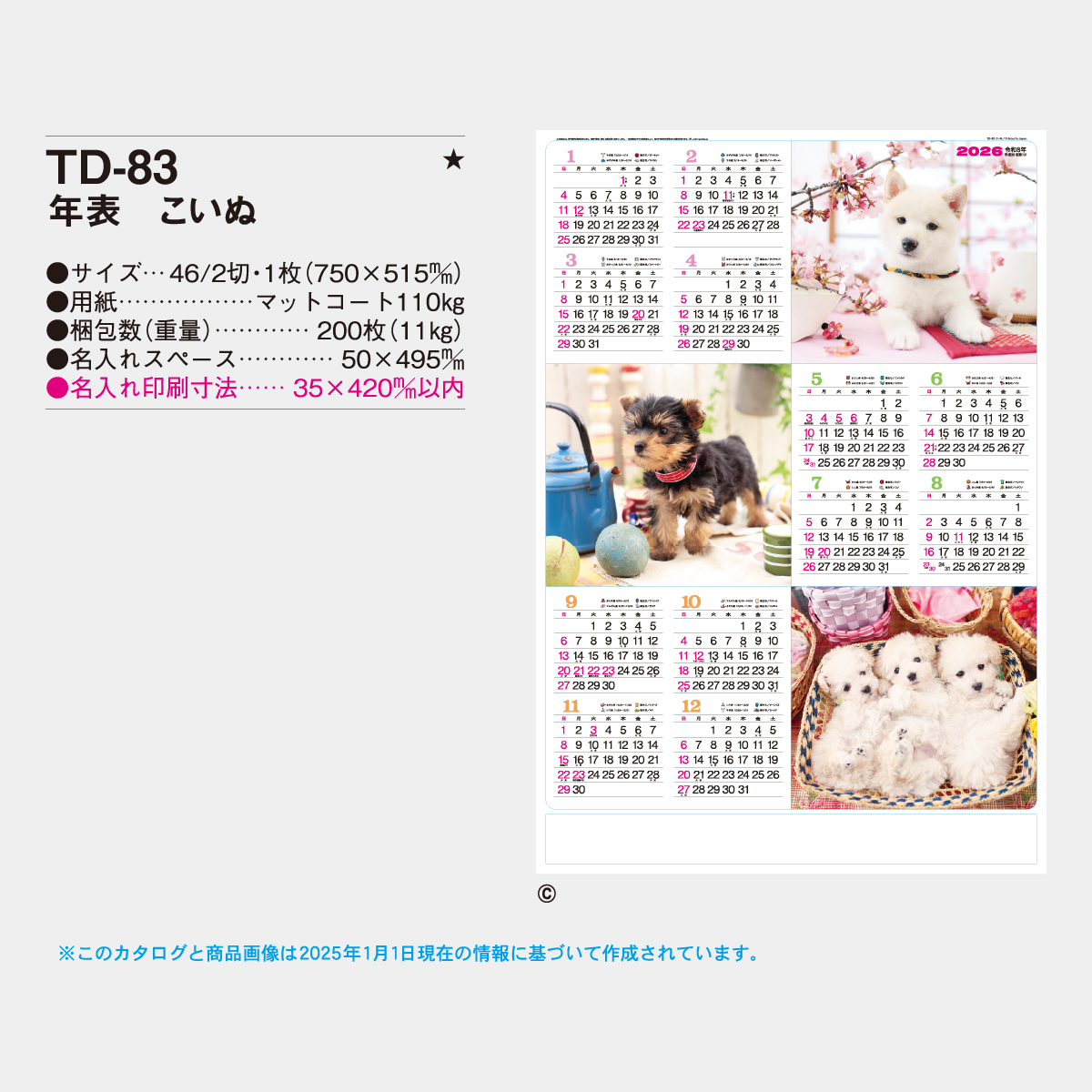 TD-83 年表 こいぬ