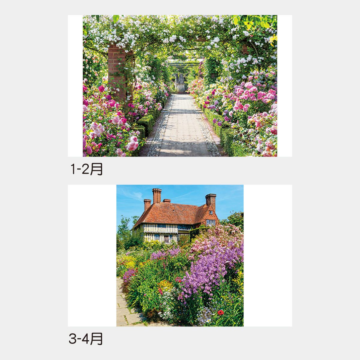 TD-916 イングリッシュ･ガーデン