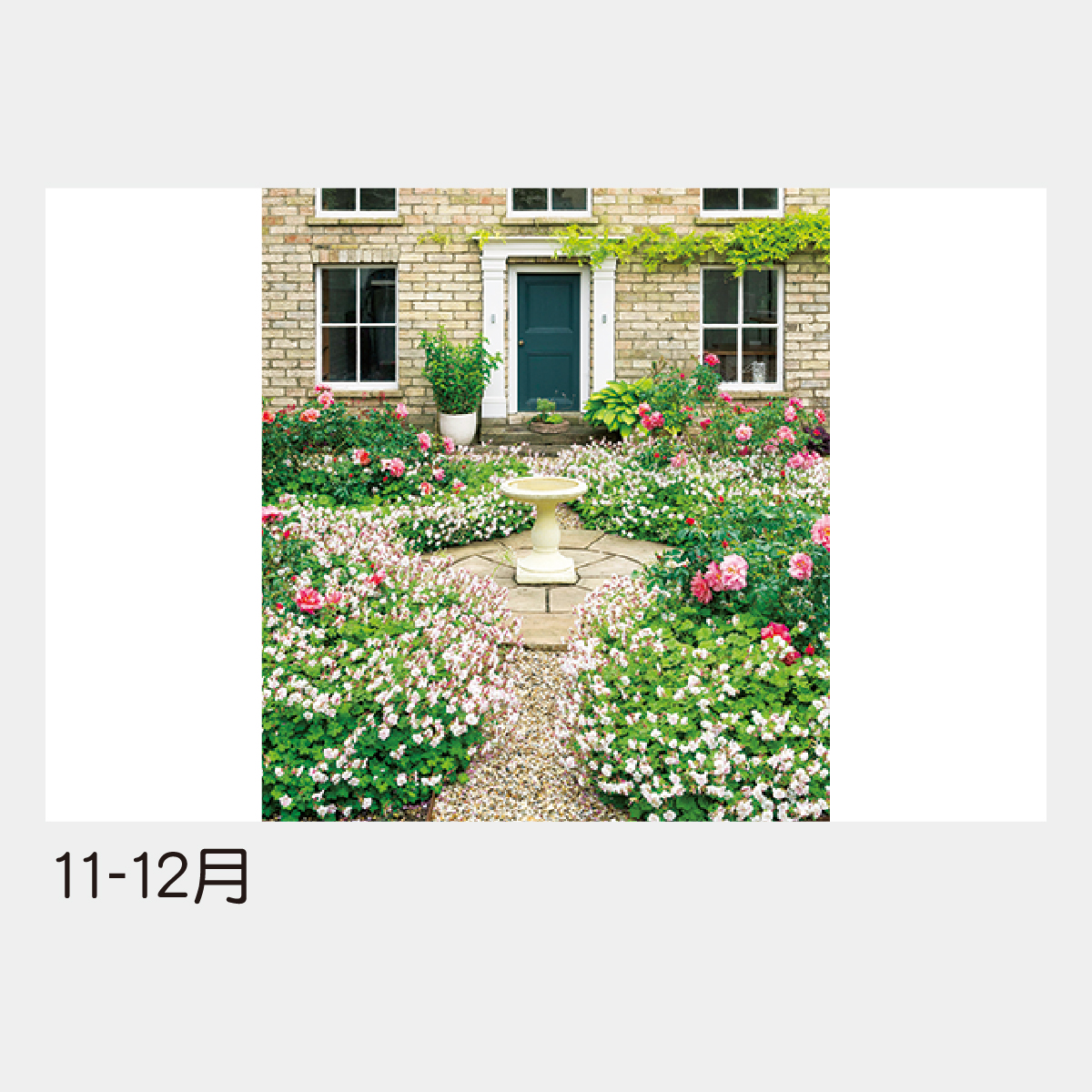 TD-916 イングリッシュ･ガーデン