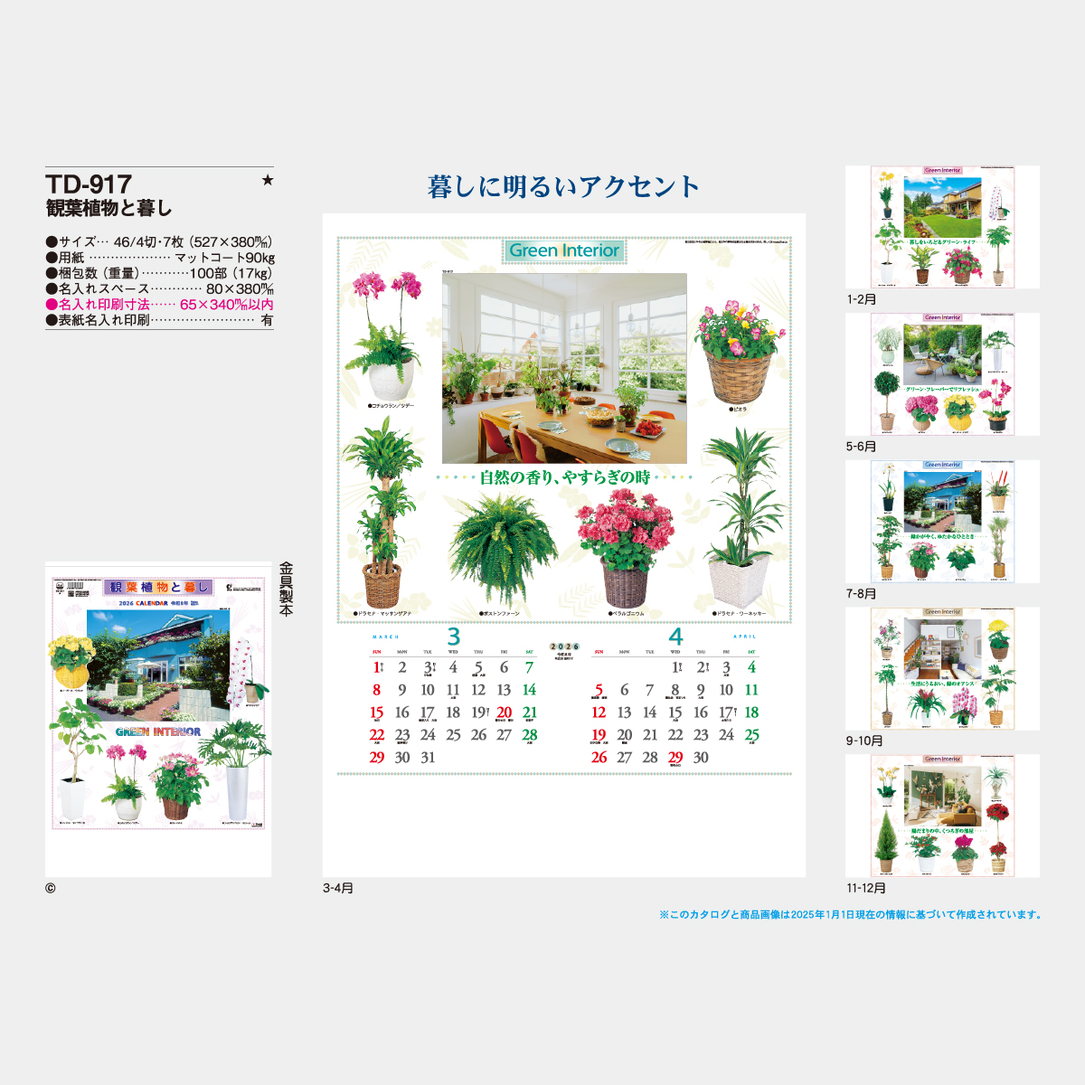 TD-917 観葉植物と暮し