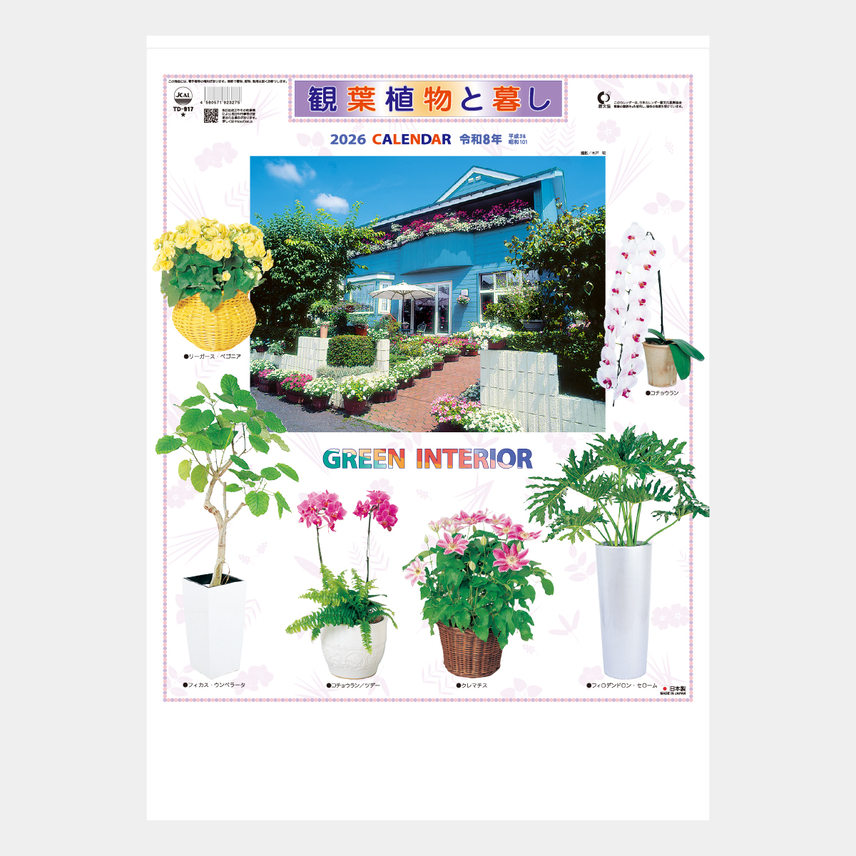 TD-917 観葉植物と暮し