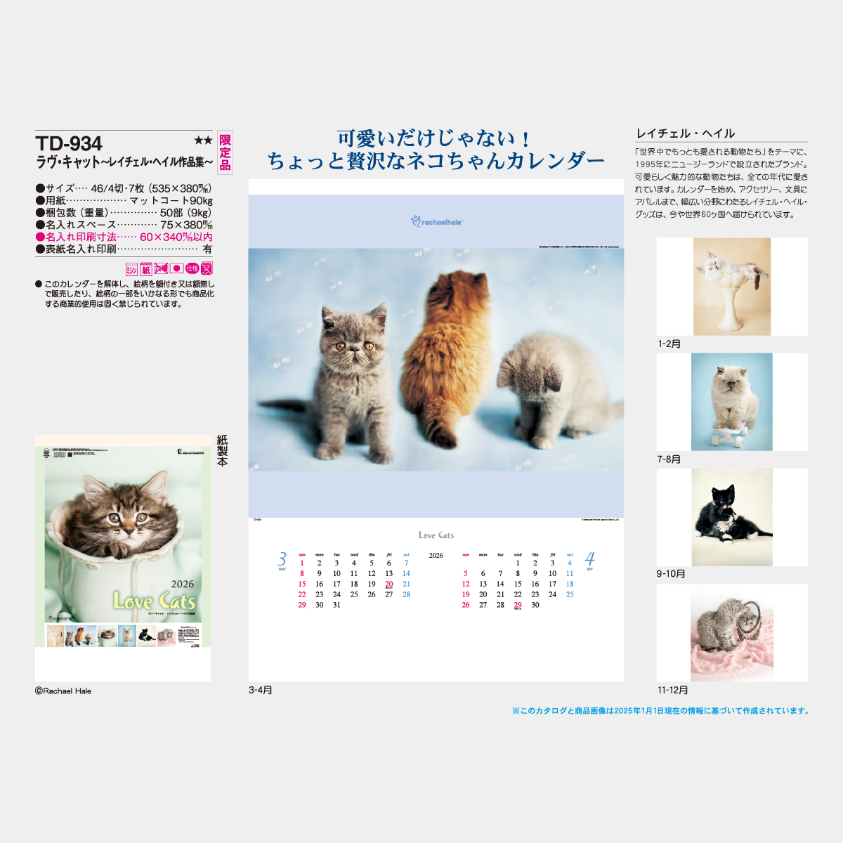 TD-934 ラヴ・キャット(レイチェル・ヘイル作品集