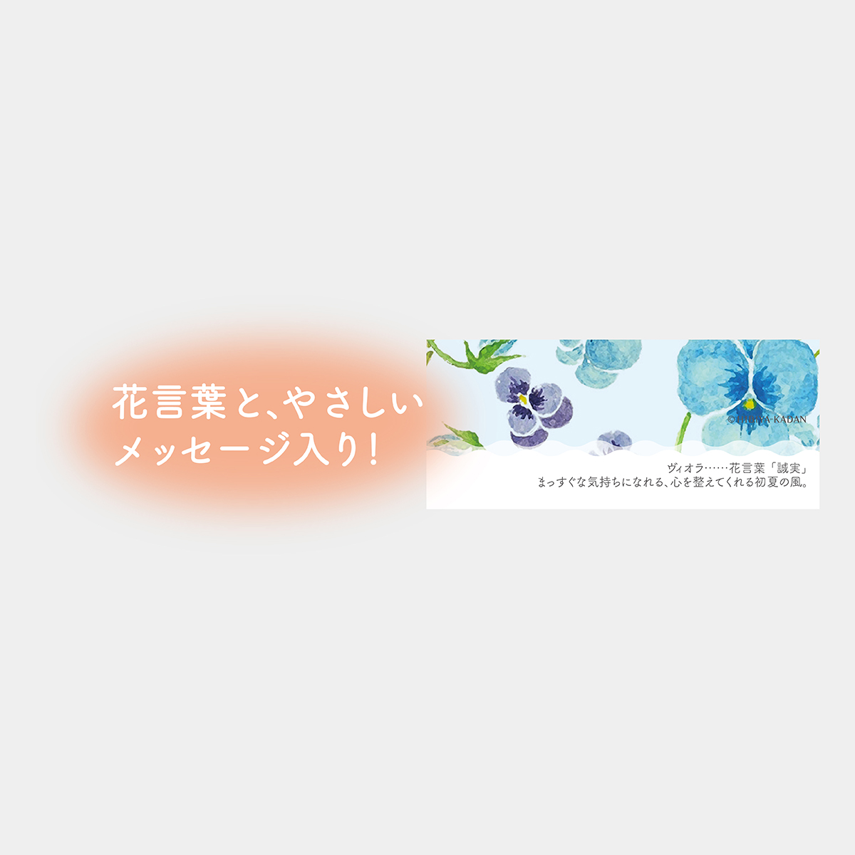 TD-967 フラワー～花のメッセージ～