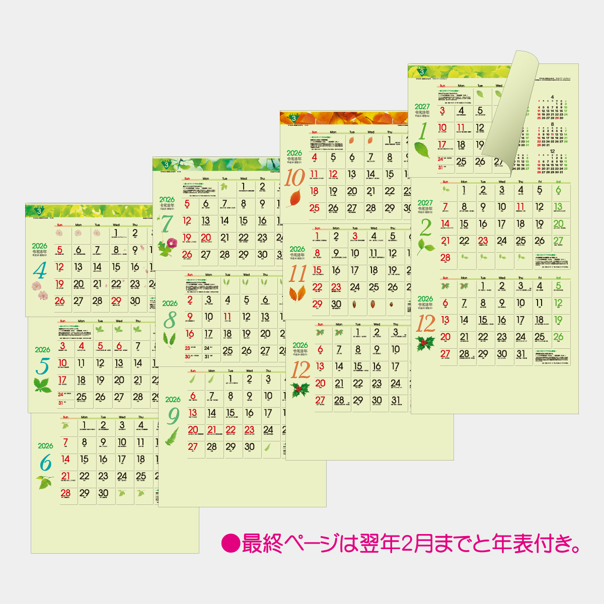 TD-975 グリーン3ヶ月eco S(上から順)