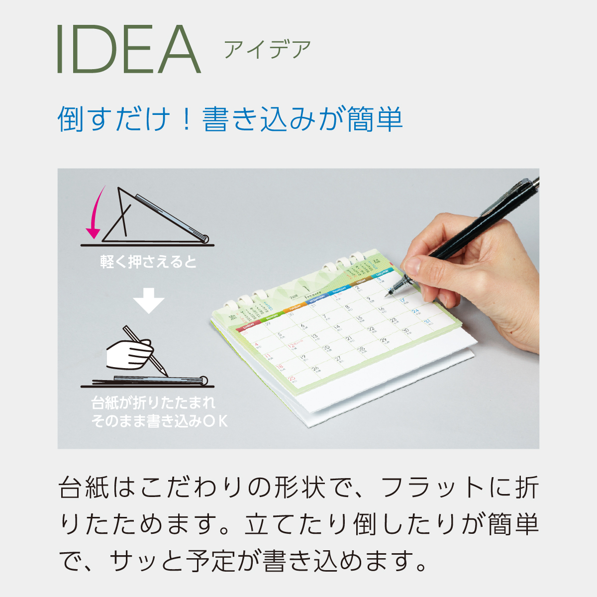 TS-100 グリーンエコカレンダー 白台紙(フルカラー)