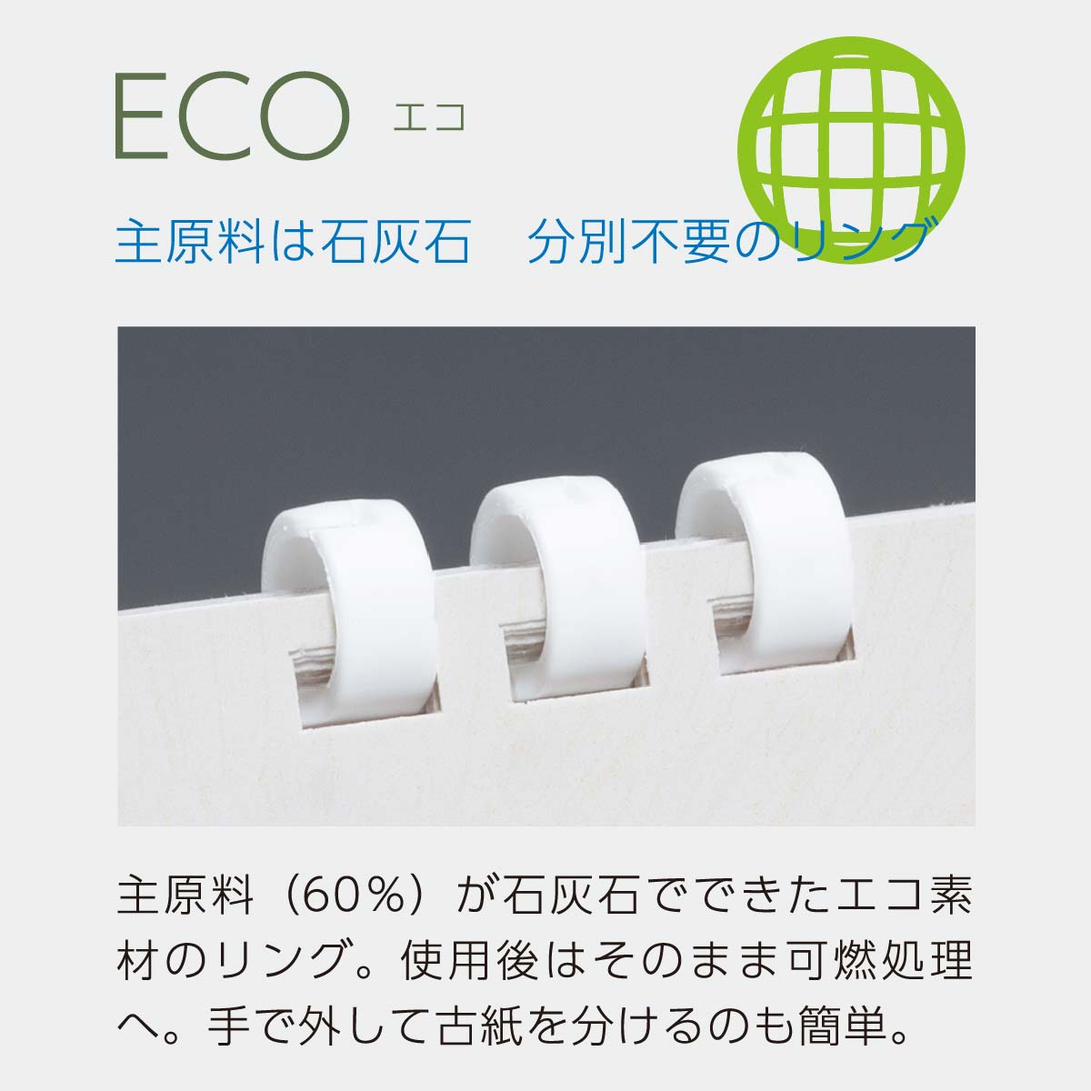 TS-400 森にやさしいエコカレンダー (フルカラー)