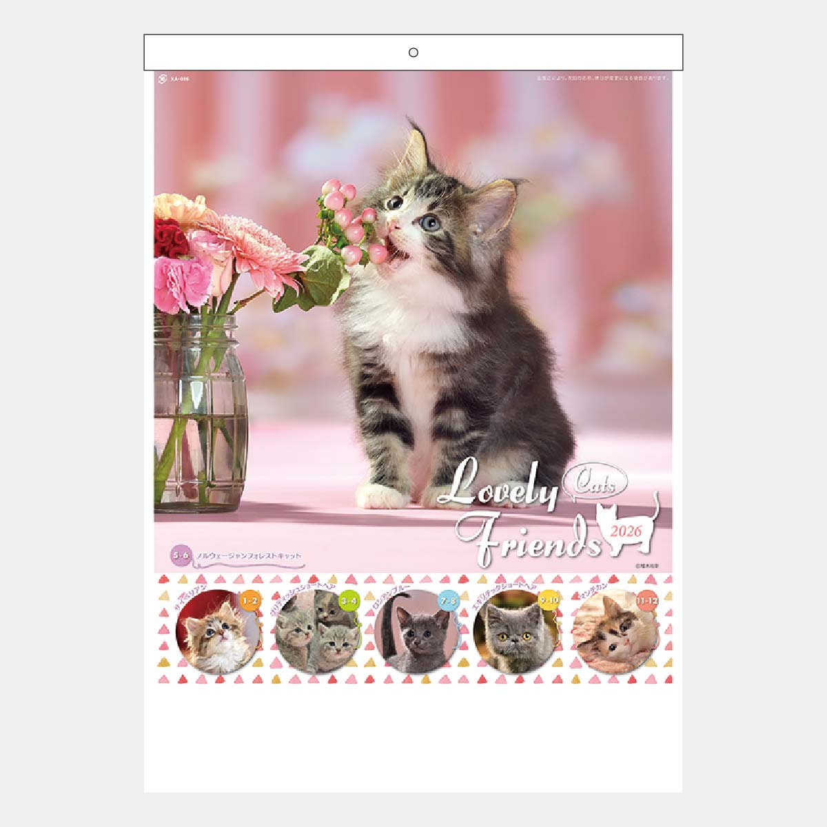 XA-16 ラブリーフレンズCATS