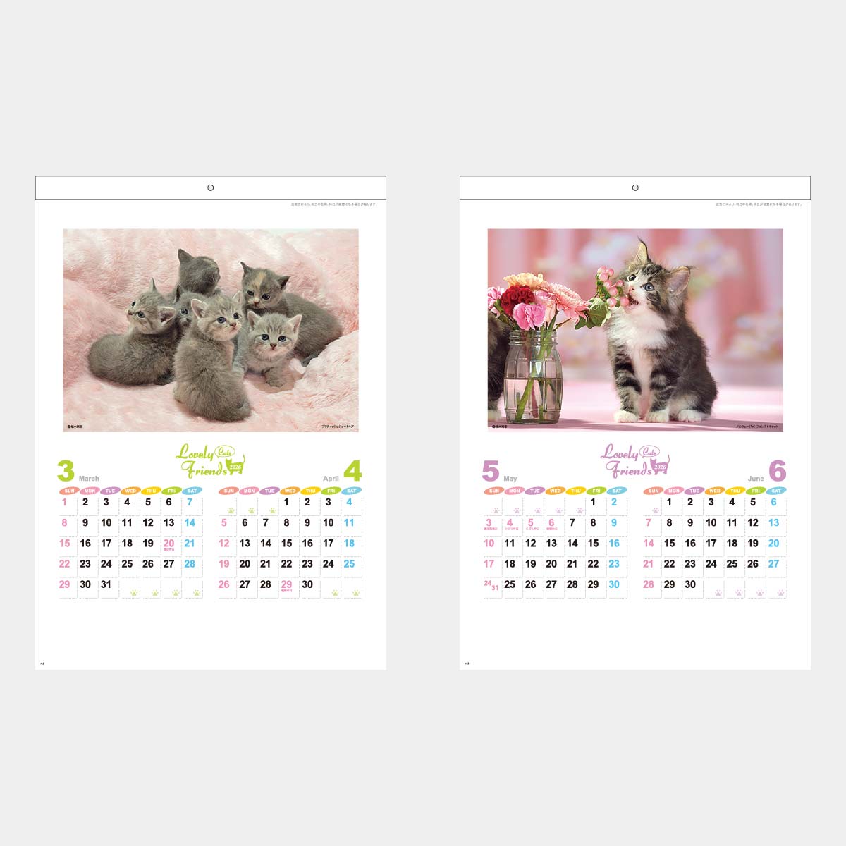 XA-16 ラブリーフレンズCATS