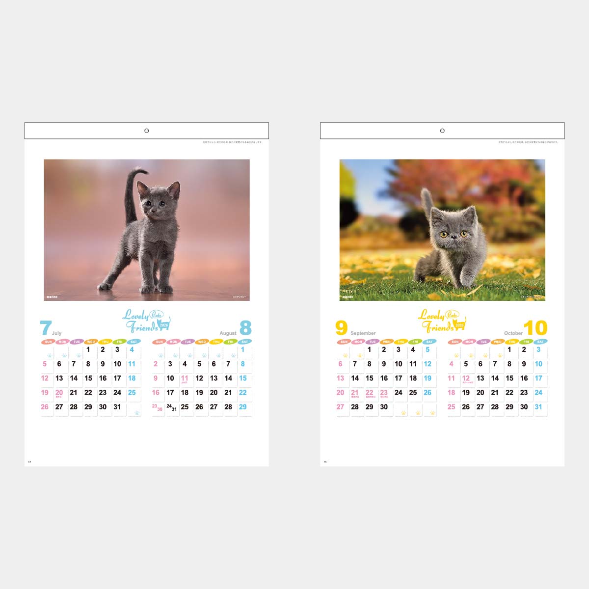 XA-16 ラブリーフレンズCATS