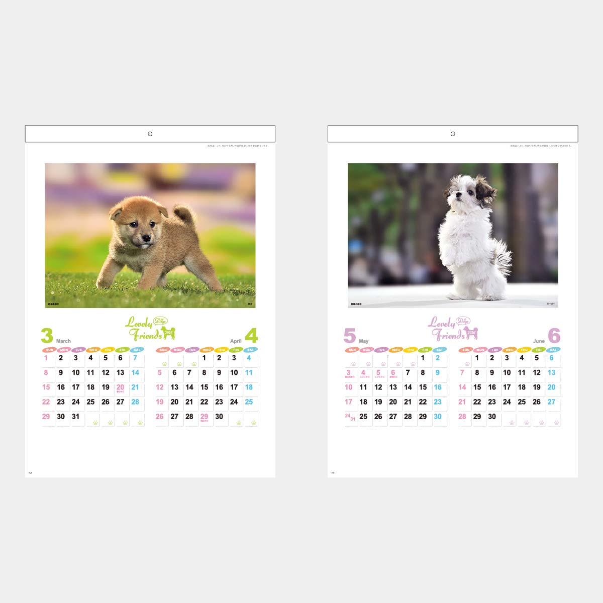 XA-4 ラブリーフレンズDOG