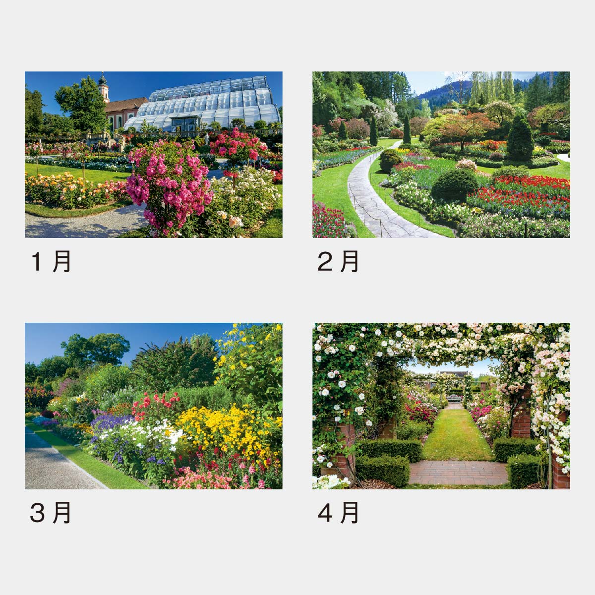 YG-11 フラワーガーデン