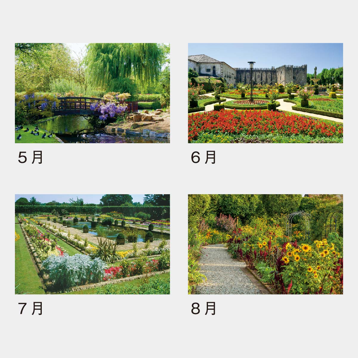 YG-11 フラワーガーデン