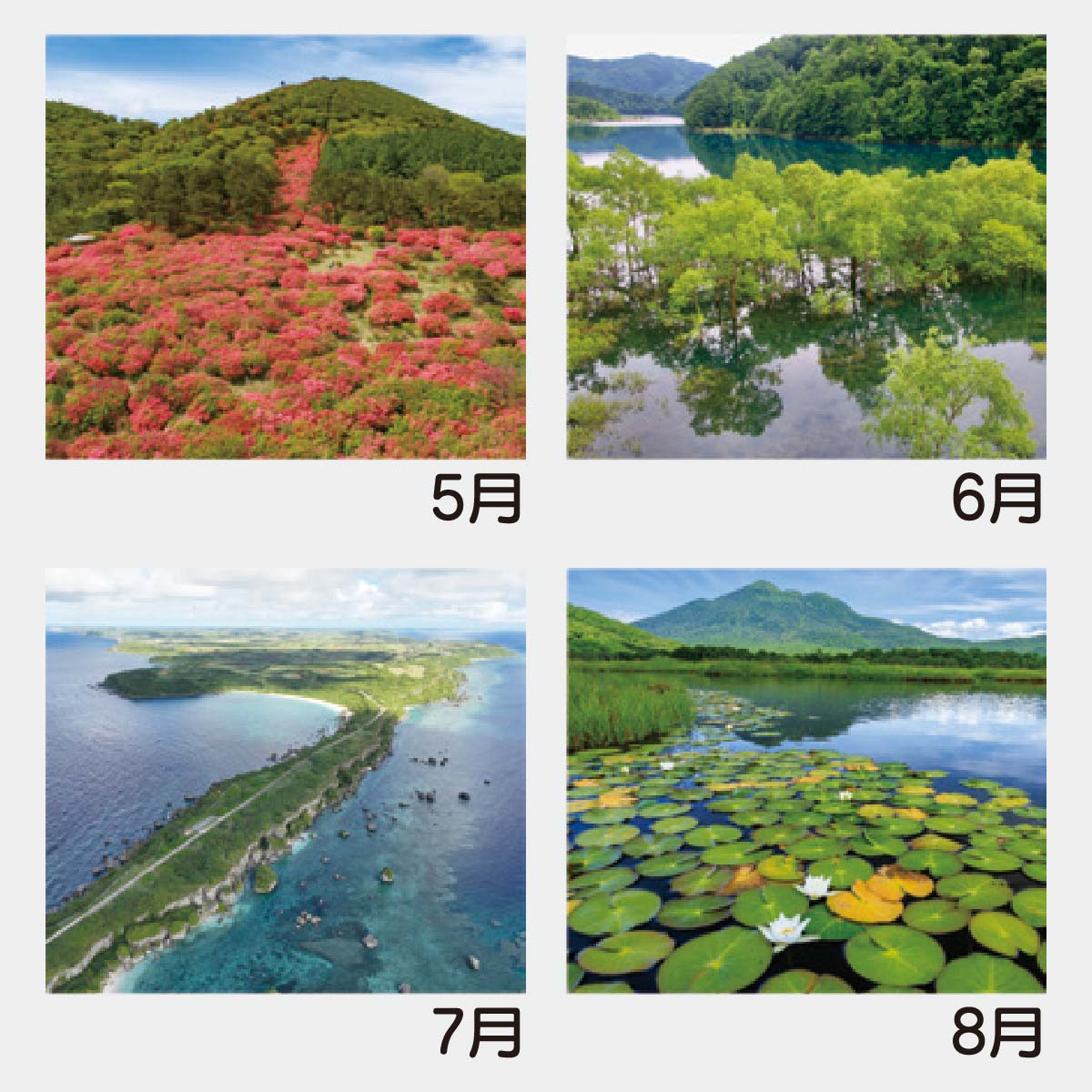 【新品未開封】日本名城紀行 特別愛蔵版　8DVDセット 日本名城紀行 8DVDSET 特別愛蔵版 「北海道・東北」「関東