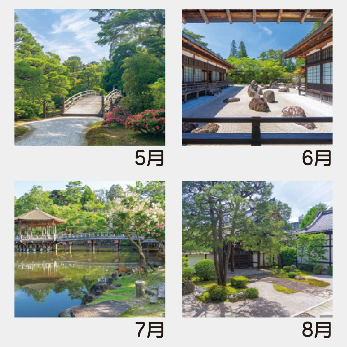 YK-1026 庭の詩情