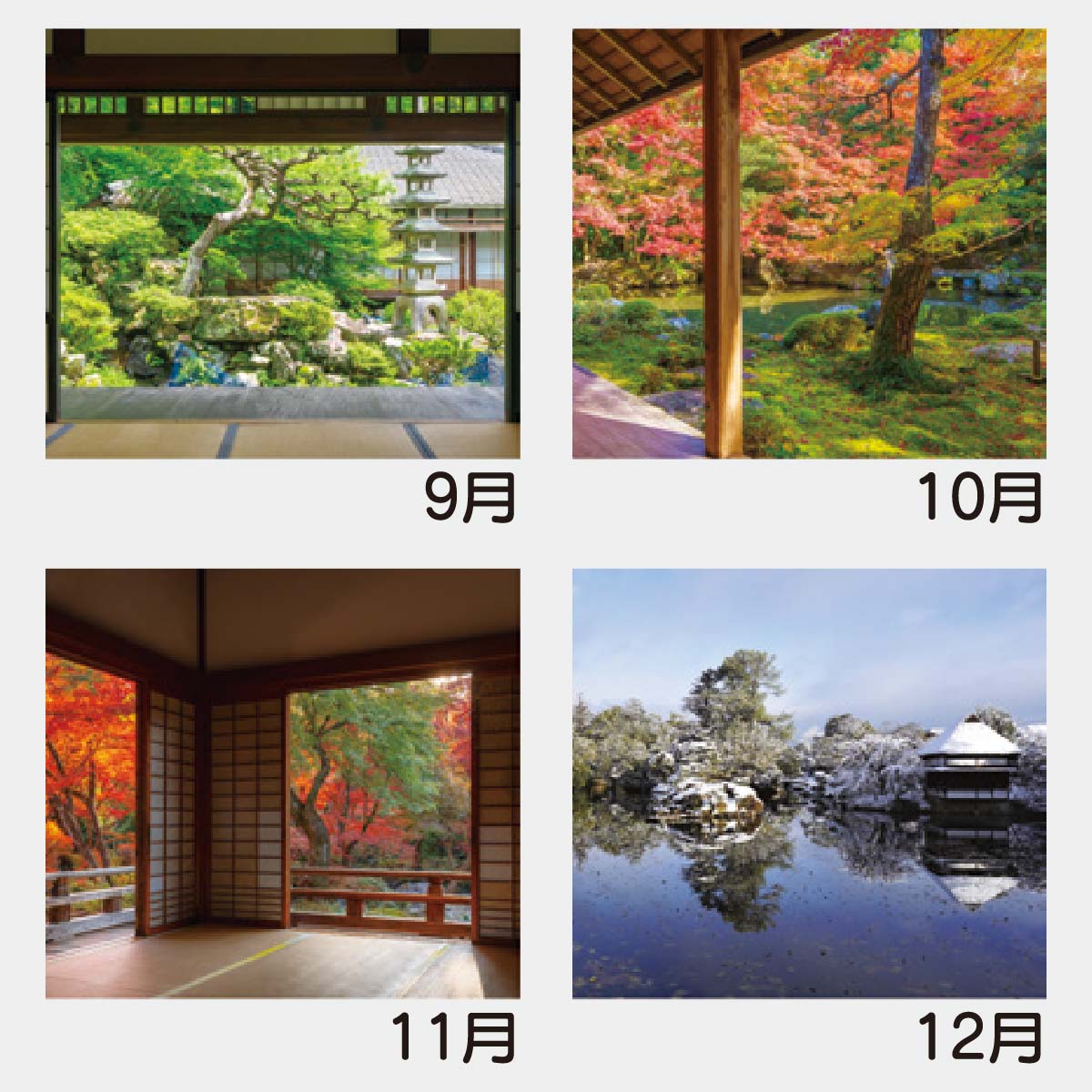 YK-1026 庭の詩情