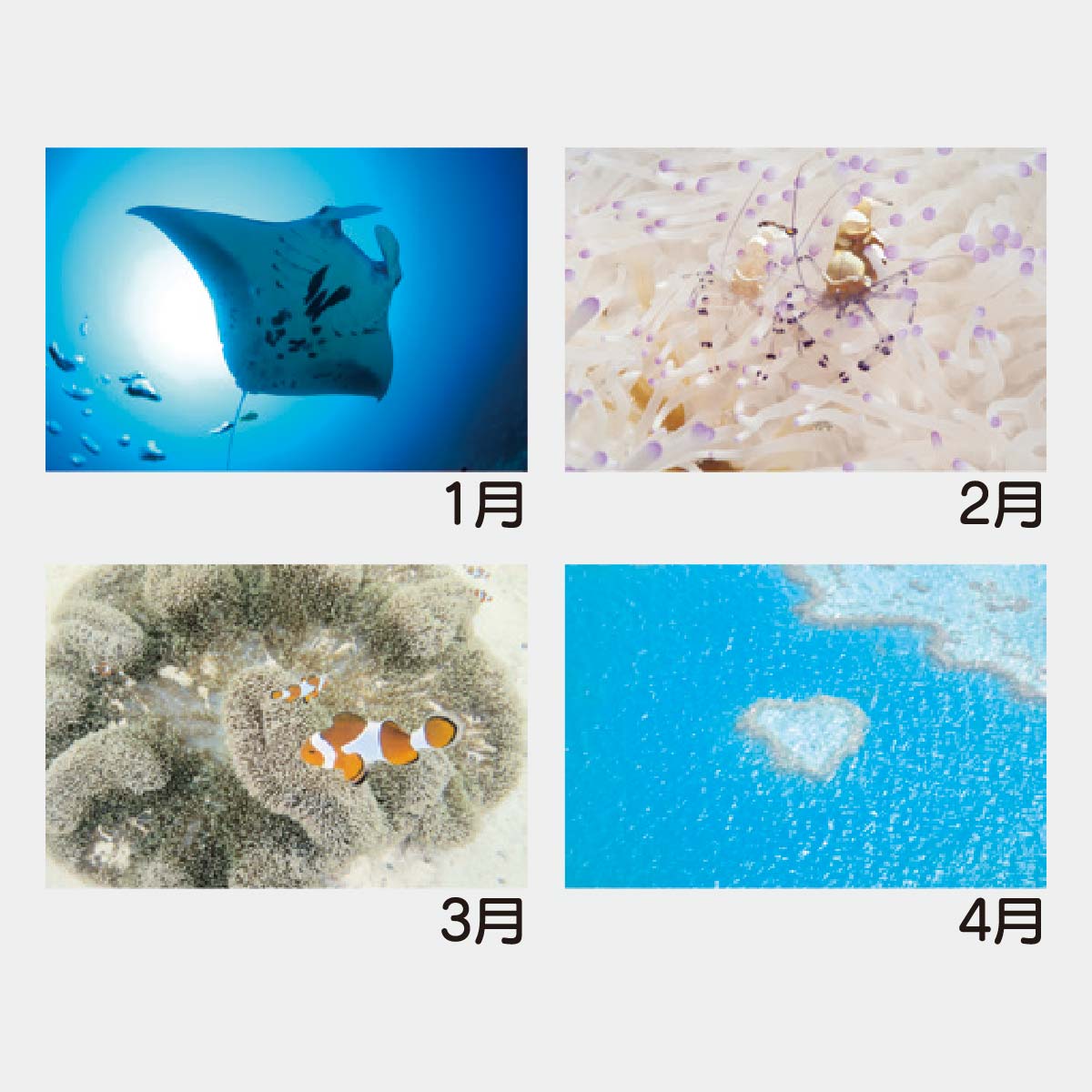 YK-1029 エコブルー